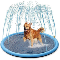 Swimming pool with water sprinkler for dogs. Refreshing for summer heat