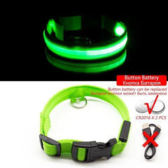Collar for dogs Anti-Lost/Avoid car accident with LED light. - The LionDog Shop