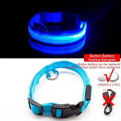 Collar for dogs Anti-Lost/Avoid car accident with LED light. - The LionDog Shop