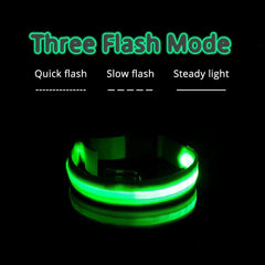 Collar for dogs Anti-Lost/Avoid car accident with LED light. - The LionDog Shop