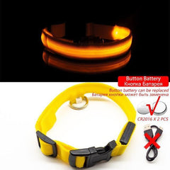 Collar for dogs Anti-Lost/Avoid car accident with LED light. - The LionDog Shop