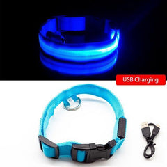 Collar for dogs Anti-Lost/Avoid car accident with LED light. - The LionDog Shop