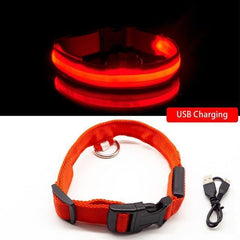 Collar for dogs Anti-Lost/Avoid car accident with LED light. - The LionDog Shop