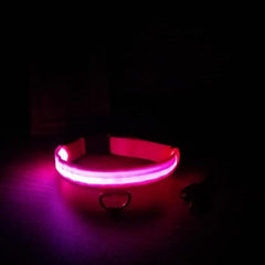 Collar for dogs with LED light. - The LionDog Shop