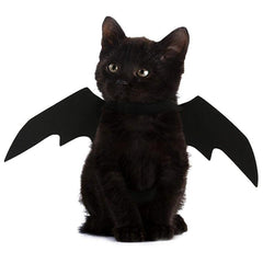 Halloween Harness For Pets. Cute Costume With Wings - The LionDog Shop