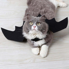 Halloween Harness For Pets. Cute Costume With Wings - The LionDog Shop