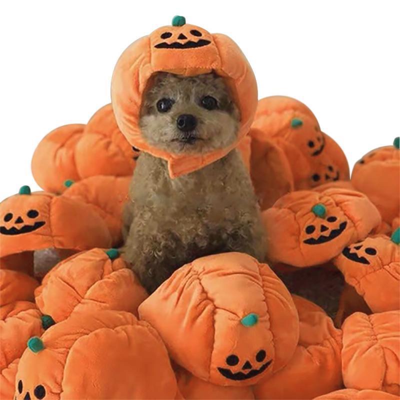 Halloween Pumpkin Pet Hat. For Cats and Small dogs - The LionDog Shop