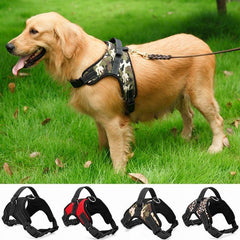 Harness for dogs. Very easy to put on. - The LionDog Shop