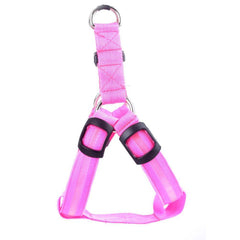 Harness with LED light - The LionDog Shop