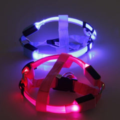 Harness with LED light - The LionDog Shop