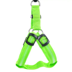 Harness with LED light - The LionDog Shop