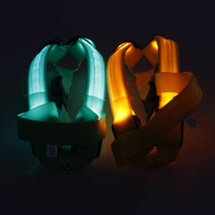 Harness with LED light - The LionDog Shop