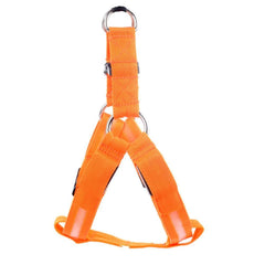 Harness with LED light - The LionDog Shop