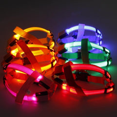 Harness with LED light - The LionDog Shop