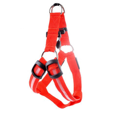 Harness with LED light - The LionDog Shop