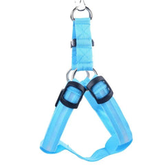 Harness with LED light - The LionDog Shop