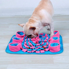 Olfactory mat for dogs - The LionDog Shop