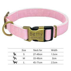 Personalized collar for dogs. - The LionDog Shop