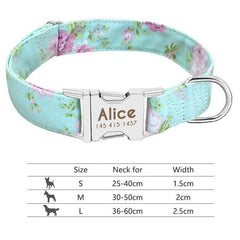 Personalized collar for dogs. - The LionDog Shop