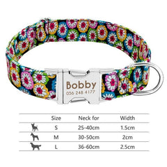 Personalized collar for dogs. - The LionDog Shop