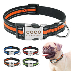 Personalized collar for dogs. - The LionDog Shop
