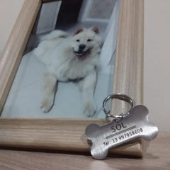 Personalized collar id tag for pets. - The LionDog Shop