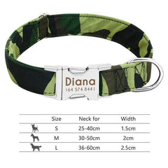 Personalized dog collar. - The LionDog Shop