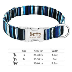 Personalized dog collar. - The LionDog Shop