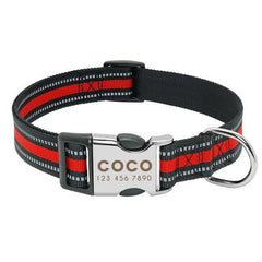 Personalized dog collar. - The LionDog Shop