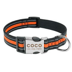 Personalized dog collar. - The LionDog Shop