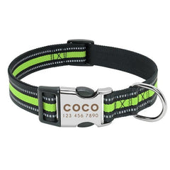 Personalized dog collar. - The LionDog Shop