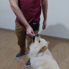 Portable pocket for walking and training pets. - The LionDog Shop
