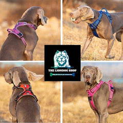 Reflective dog Harness. - The LionDog Shop