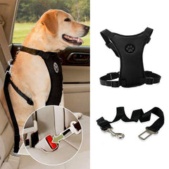 Safety harness with safety belt for dogs to use in cars. - The LionDog Shop