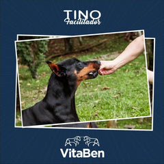 Snack to Facilitate the Medication of Your Dog - Tino - The LionDog Shop