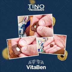 Snack to Facilitate the Medication of Your Dog - Tino - The LionDog Shop