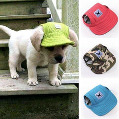 Visor hat for dogs. - The LionDog Shop