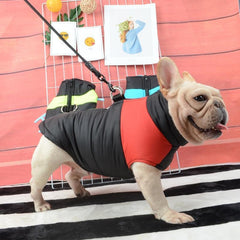Waterproof Big Dog Jacket . - The LionDog Shop